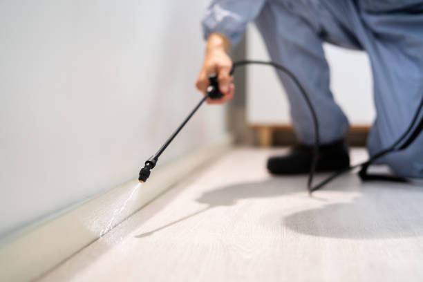 Licensed Termite Control service in Roscommon, MI - Nex Pest Control