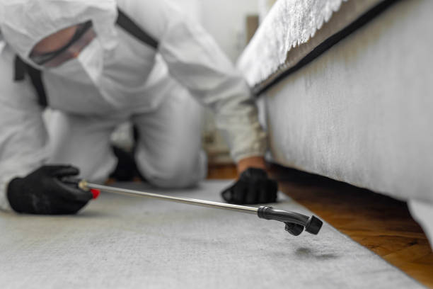 Professional Termite Control technician working in Roscommon, MI