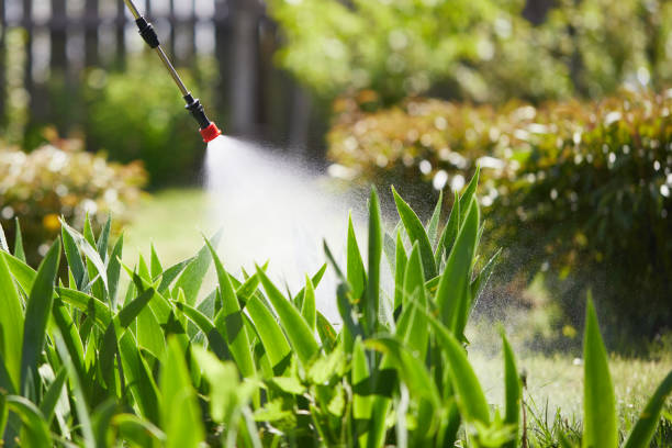 24/7 Emergency Termite Control experts in Roscommon, MI